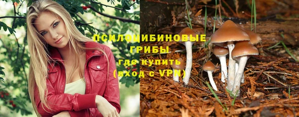спайс Пролетарск