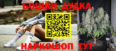 PSILOCYBIN Гагарин
