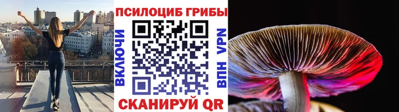 Псилоцибиновые грибы мухоморы Сертолово