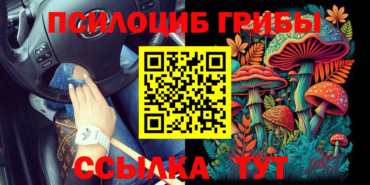 Галлюциногенные грибы Magic Shrooms  продажа наркотиков  Сертолово  Галлюциногенные грибы GOLDEN TEACHER 