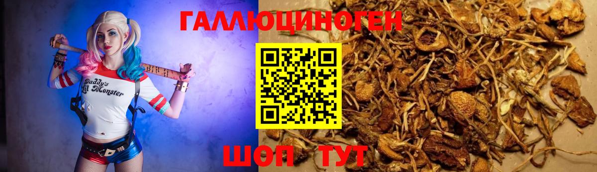 что такое наркотик  Галлюциногенные грибы ЛСД  Вход с VPN  Псилоцибиновые грибы GOLDEN TEACHER  Сертолово 